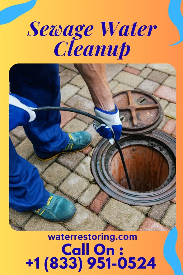 Sewage Water Cleanup in Farley, KY